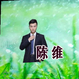 陈维